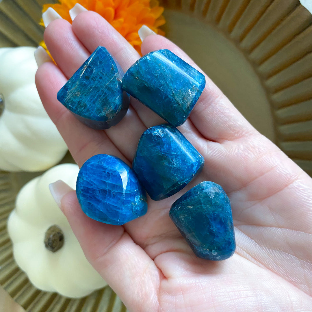 Carved Blue Apatite Gem Nugget