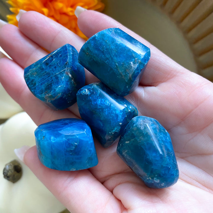 Carved Blue Apatite Gem Nugget
