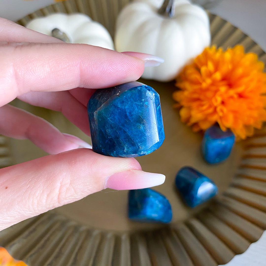 Carved Blue Apatite Gem Nugget