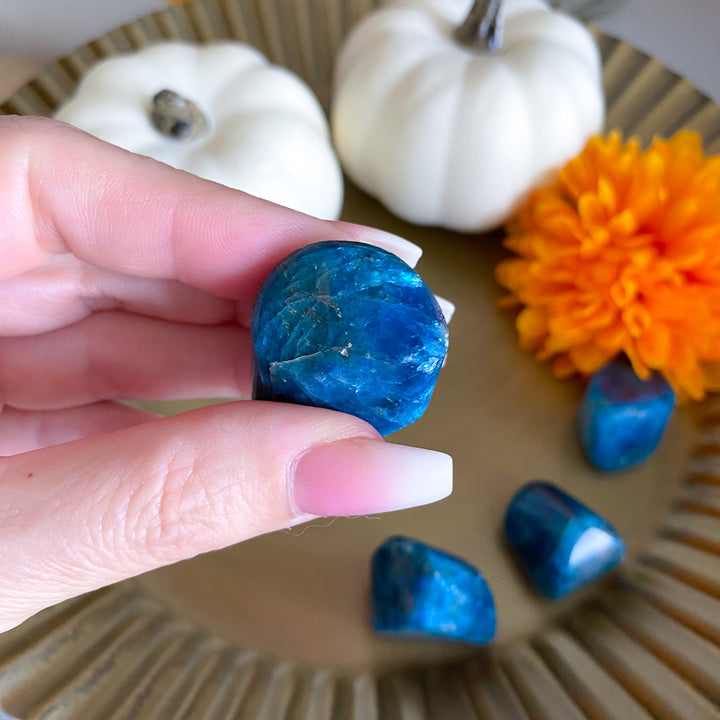 Carved Blue Apatite Gem Nugget