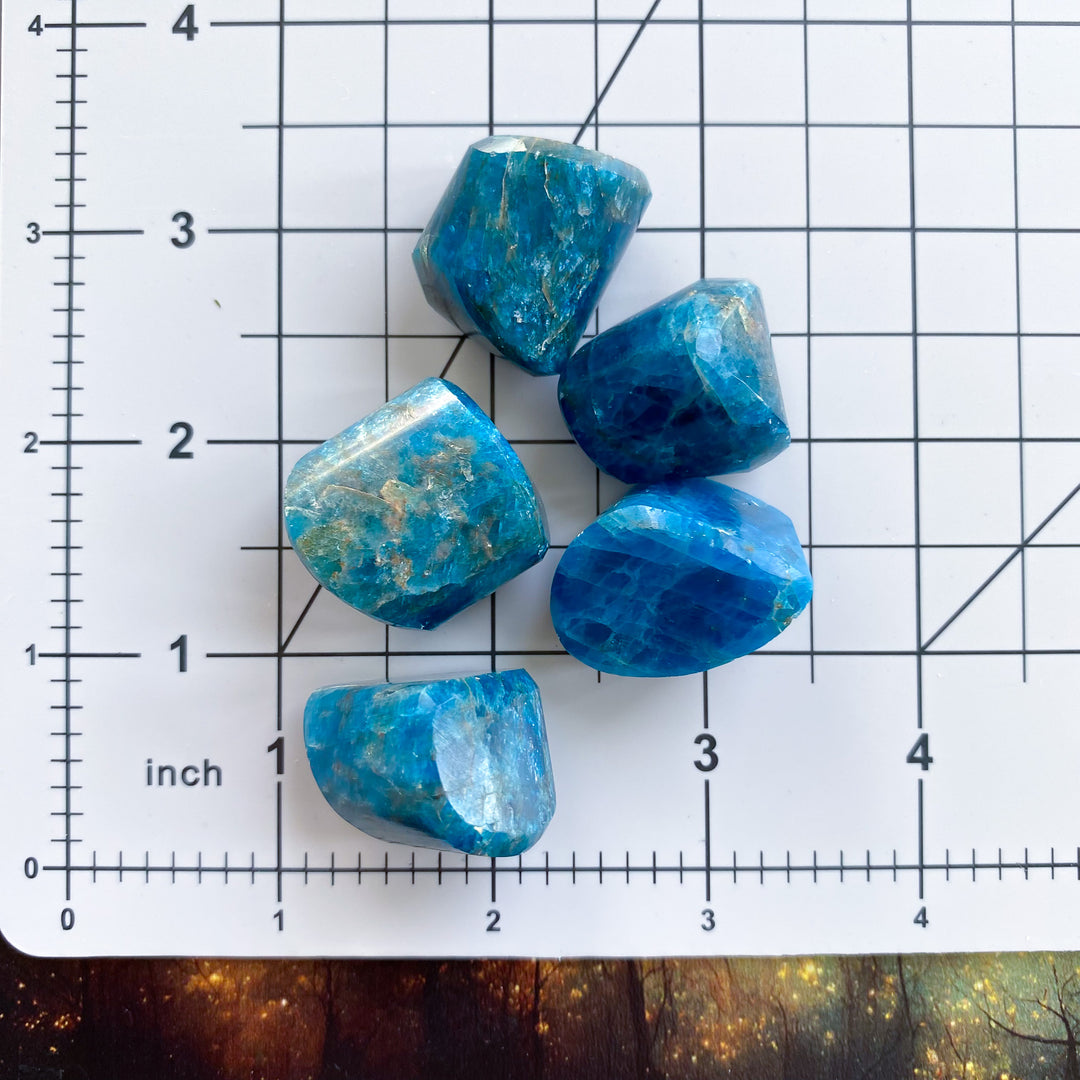Carved Blue Apatite Gem Nugget