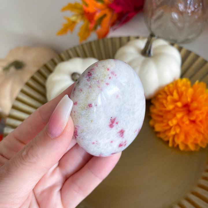 Cinnabrite Palm Stone 