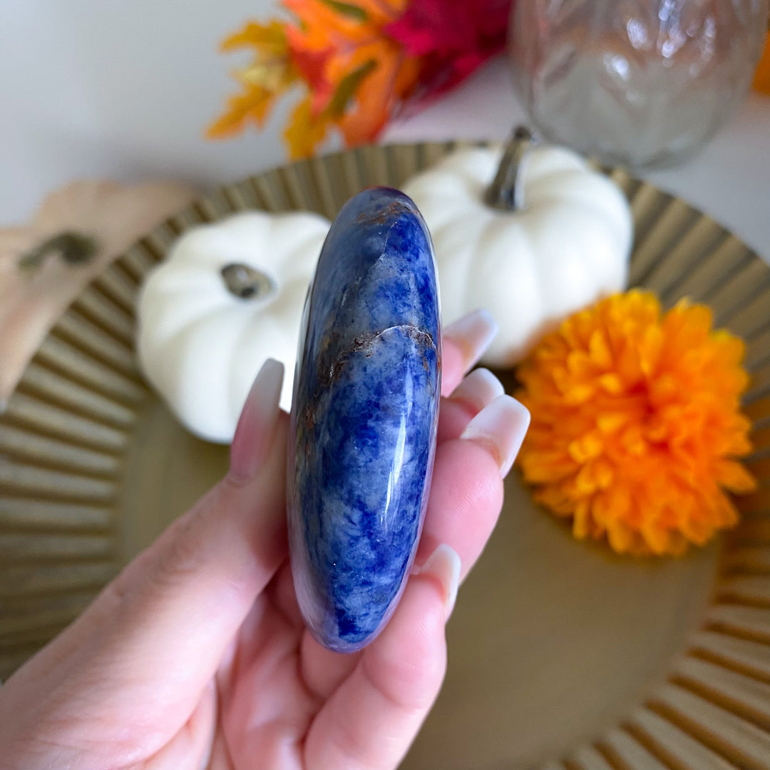 Sodalite Palm Stone 