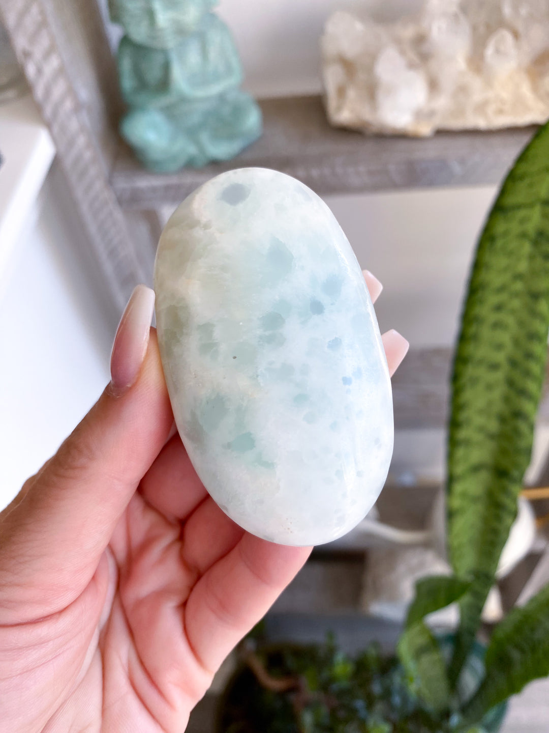 Gentle Caribbean Calcite Palm Stone 