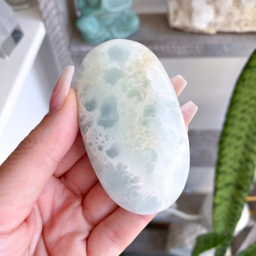 Gentle Caribbean Calcite Palm Stone 