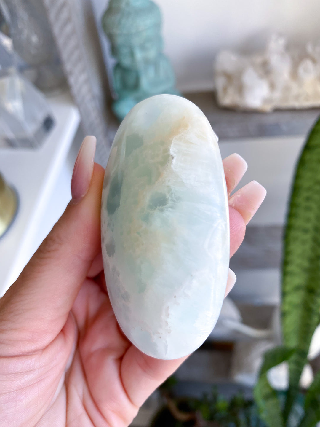 Gentle Caribbean Calcite Palm Stone 