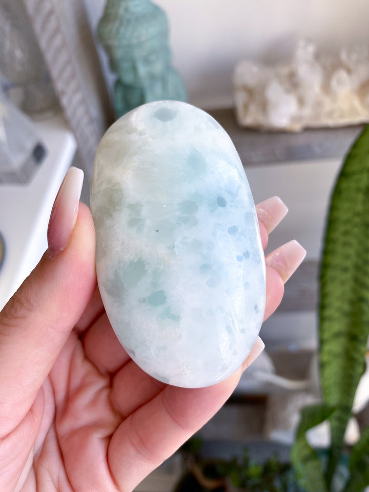 Gentle Caribbean Calcite Palm Stone 