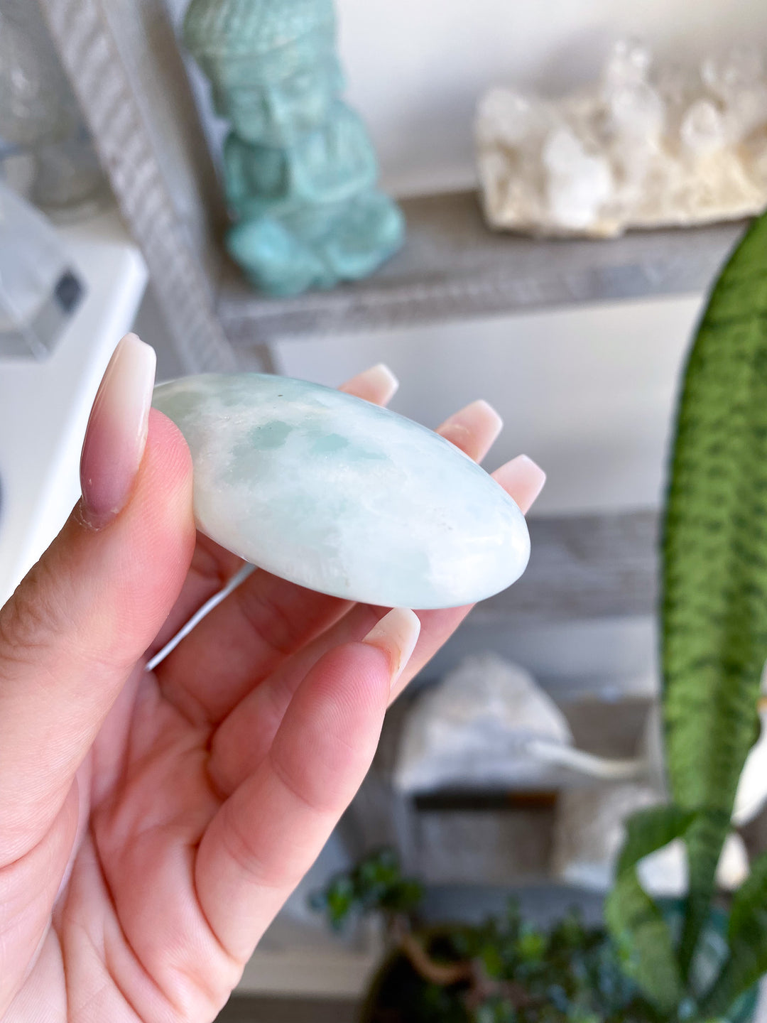 Gentle Caribbean Calcite Palm Stone 