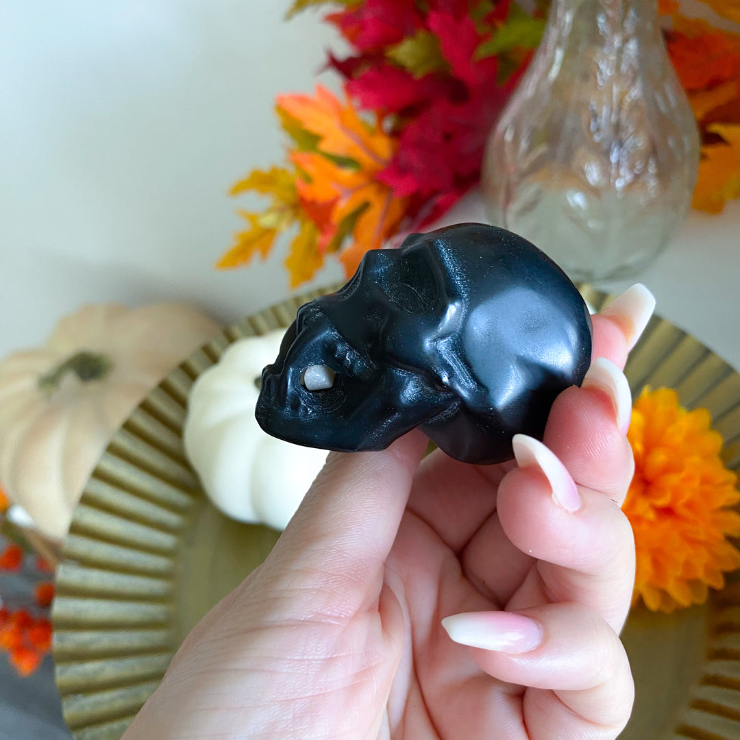 Black Obsidian Vampire Skull 