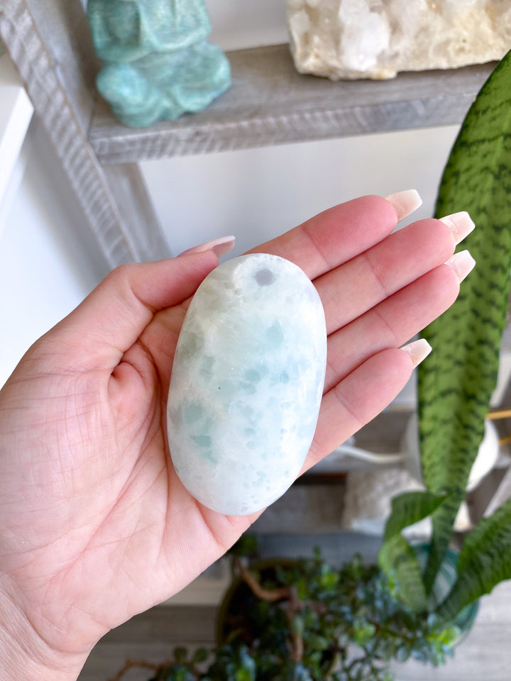 Gentle Caribbean Calcite Palm Stone 