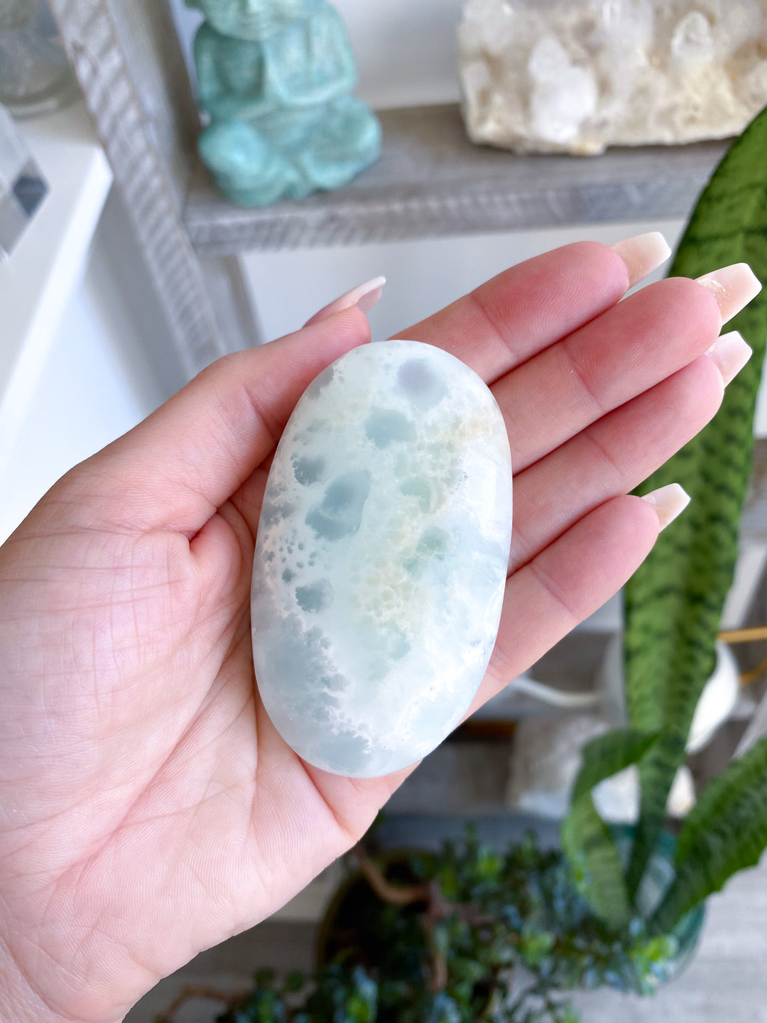 Gentle Caribbean Calcite Palm Stone 