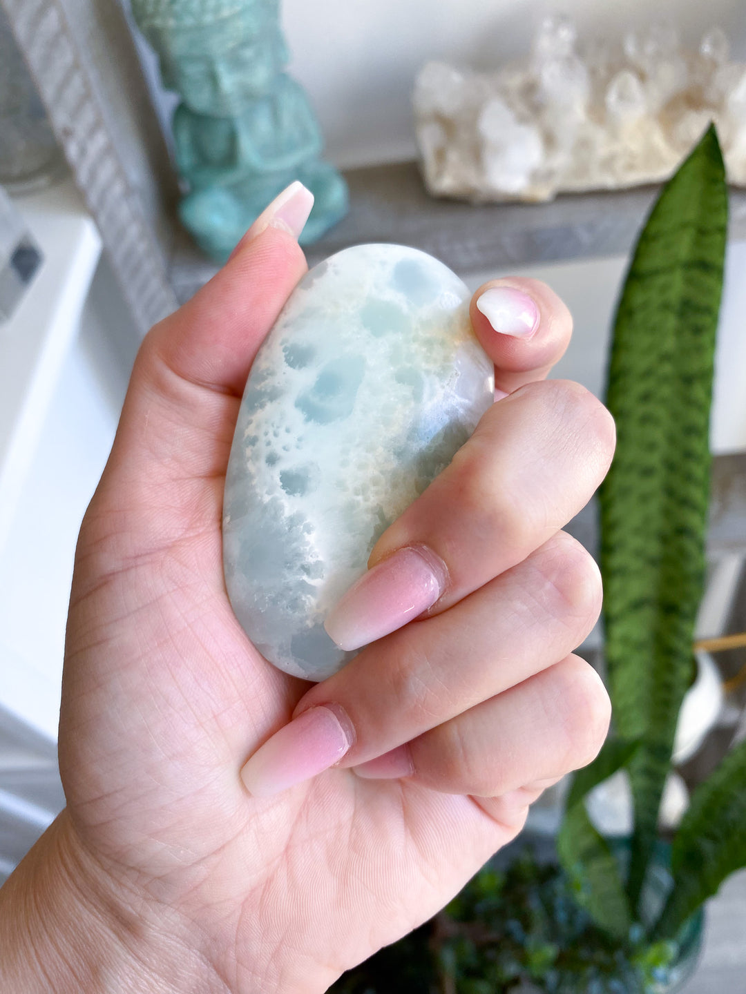 Gentle Caribbean Calcite Palm Stone 