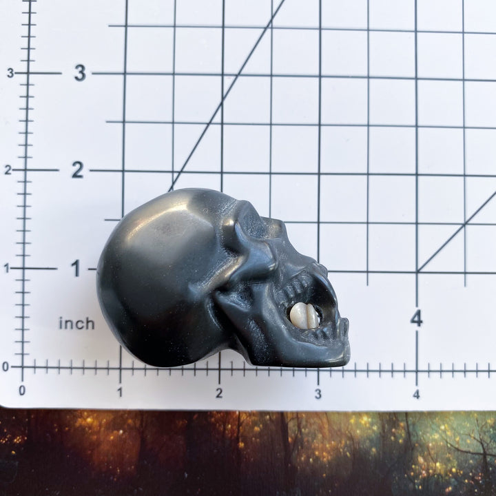 Black Obsidian Vampire Skull 