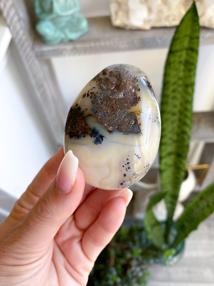 Dendritic Agate "Plentitude" Palm Stone 