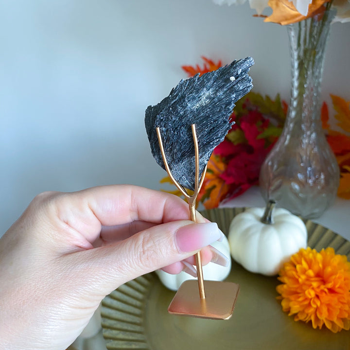 "Emo" Black Kyanite Fan on Stand 