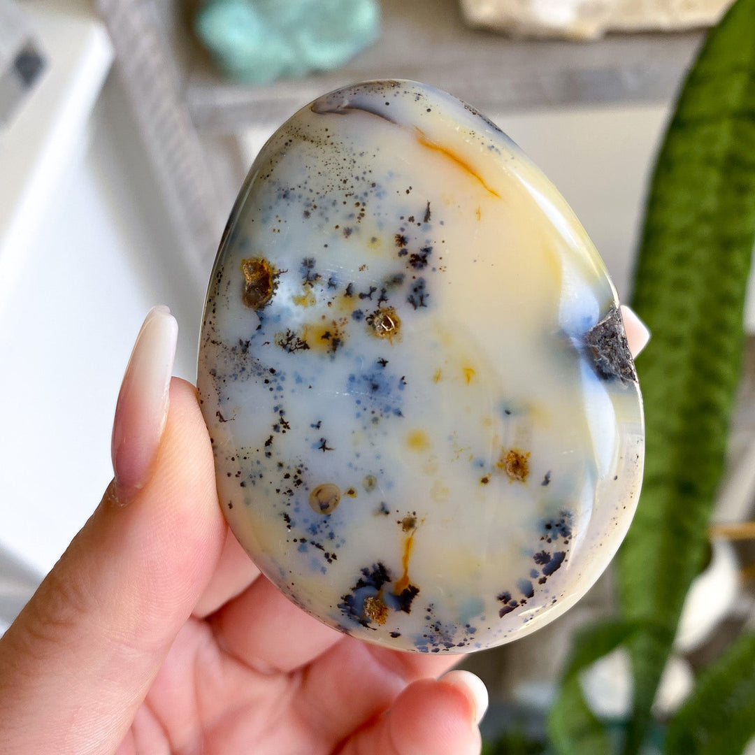 Dendritic Agate "Plentitude" Palm Stone 