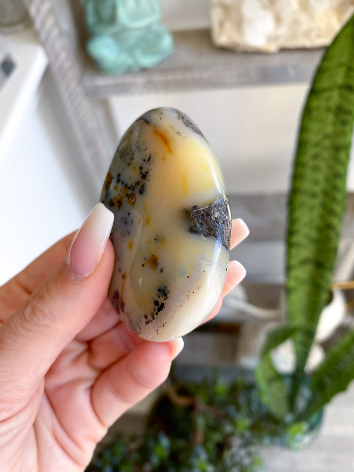 Dendritic Agate "Plentitude" Palm Stone 