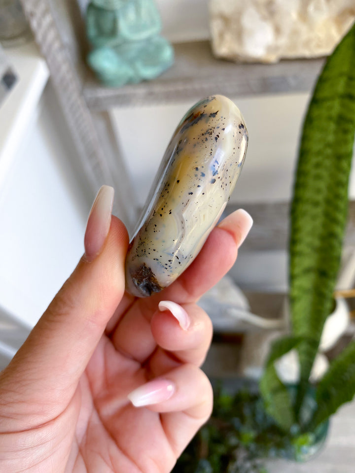 Dendritic Agate "Plentitude" Palm Stone 
