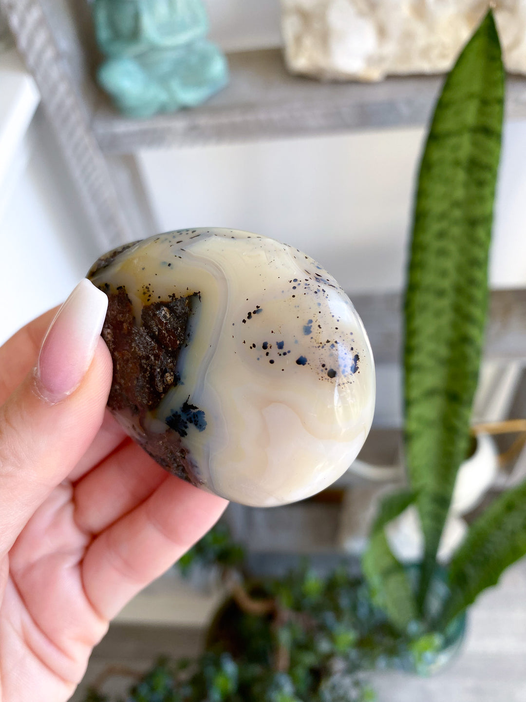 Dendritic Agate "Plentitude" Palm Stone 
