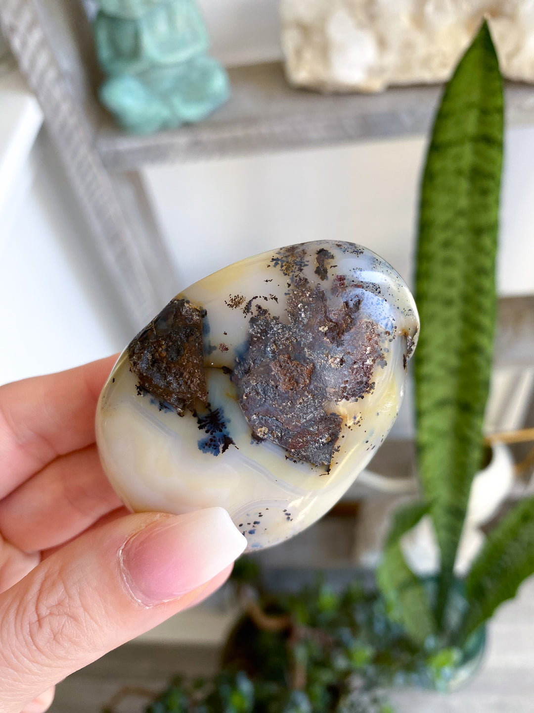 Dendritic Agate "Plentitude" Palm Stone 