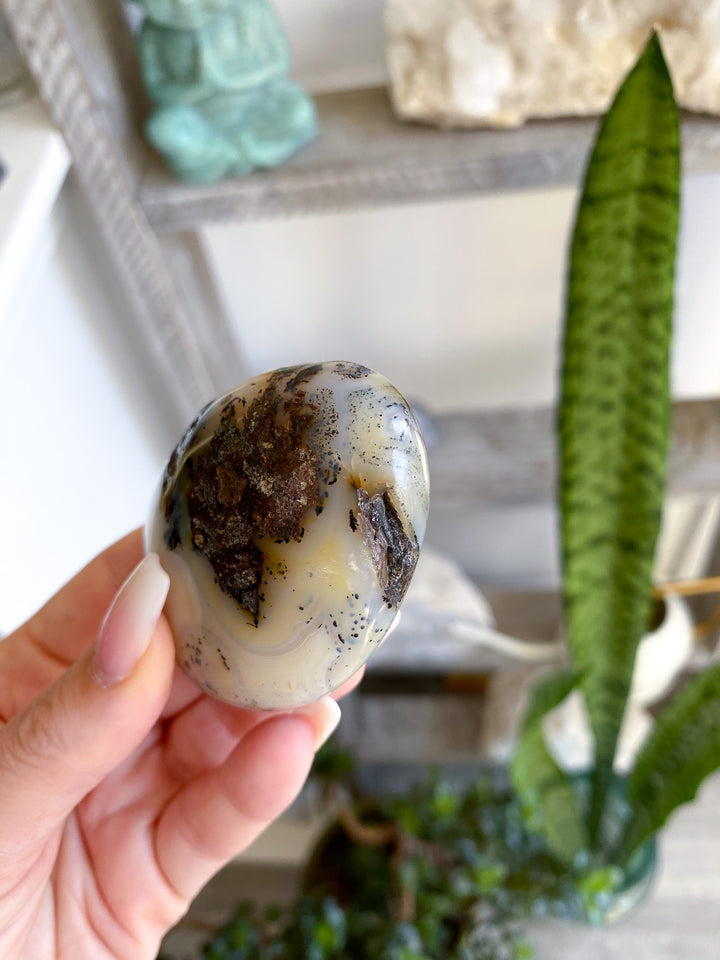 Dendritic Agate "Plentitude" Palm Stone 
