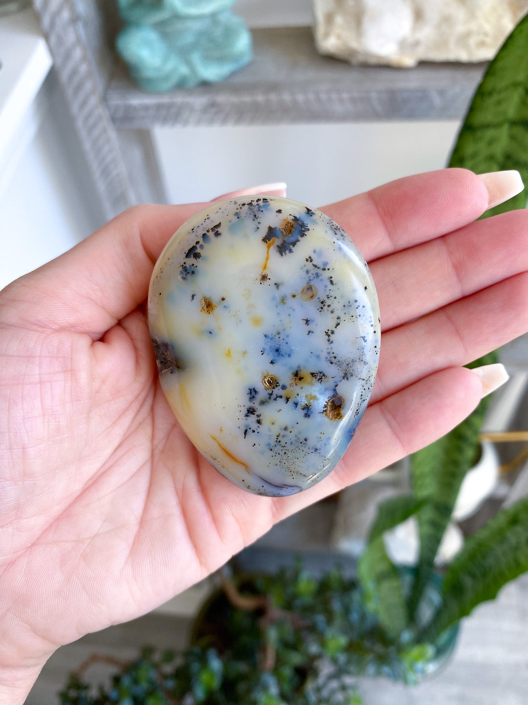 Dendritic Agate "Plentitude" Palm Stone 