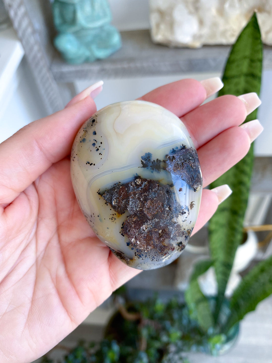 Dendritic Agate "Plentitude" Palm Stone 