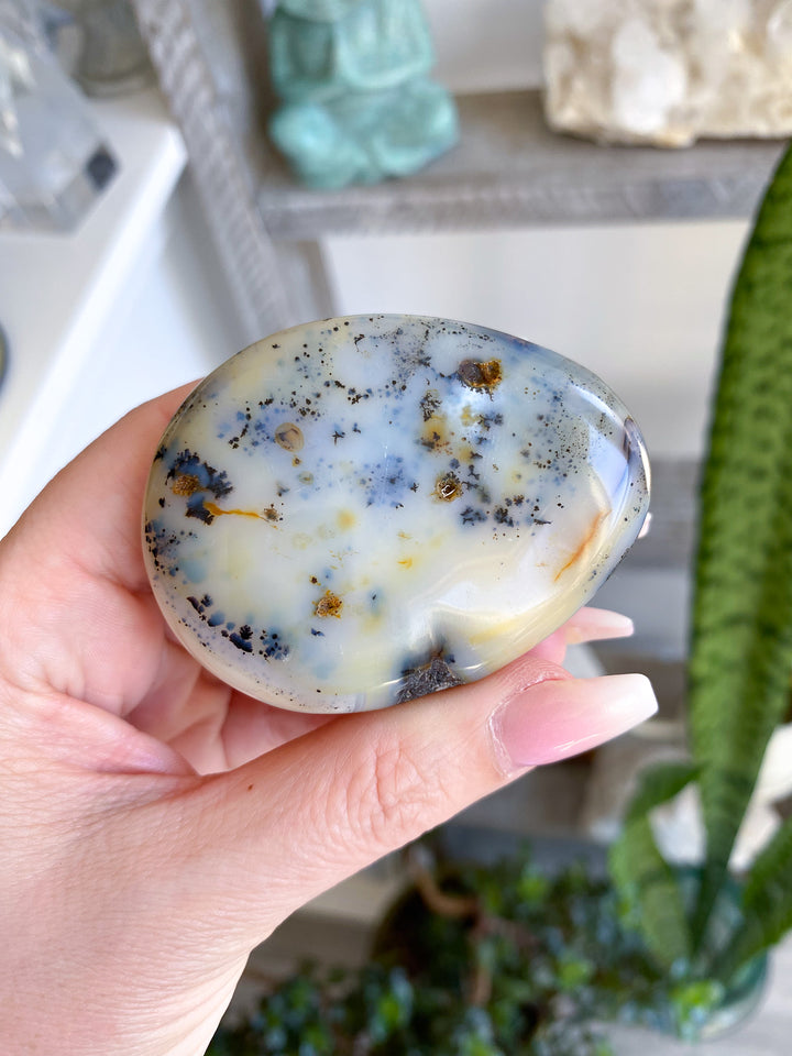 Dendritic Agate "Plentitude" Palm Stone 