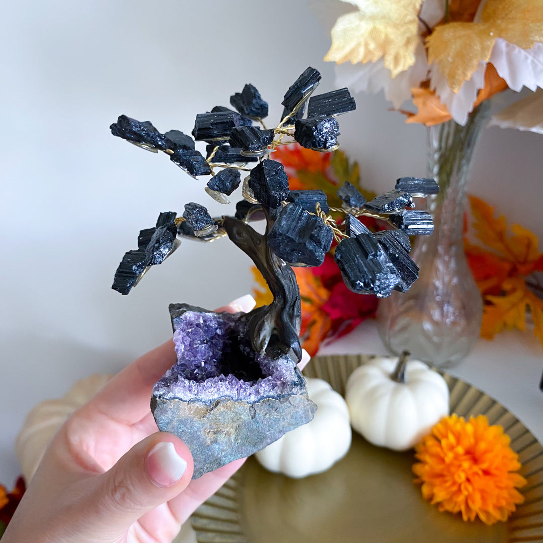 Black Tourmaline Tree on Amethyst Geode 
