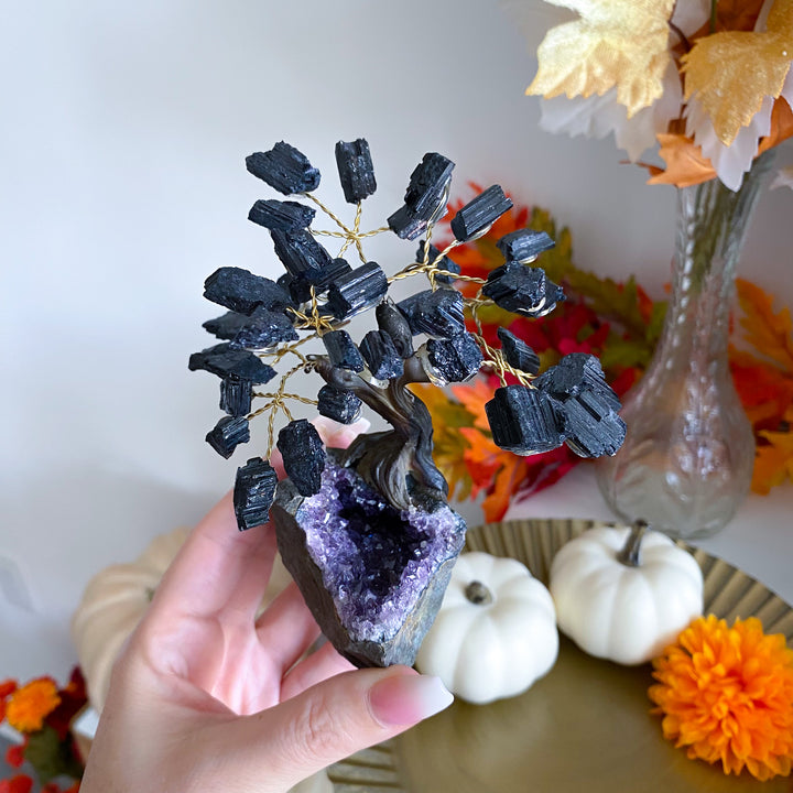 Black Tourmaline Tree on Amethyst Geode 