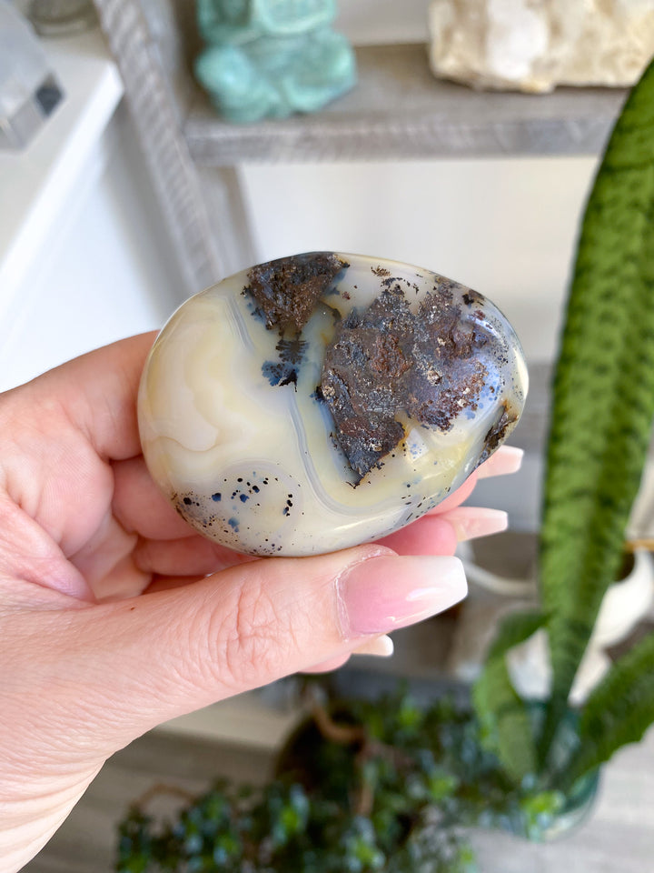 Dendritic Agate "Plentitude" Palm Stone 