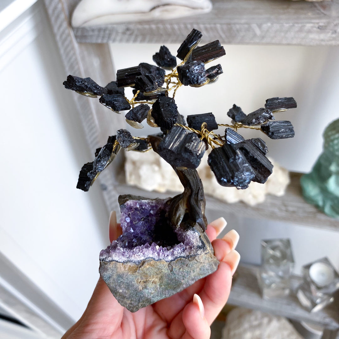 Black Tourmaline Tree on Amethyst Geode 