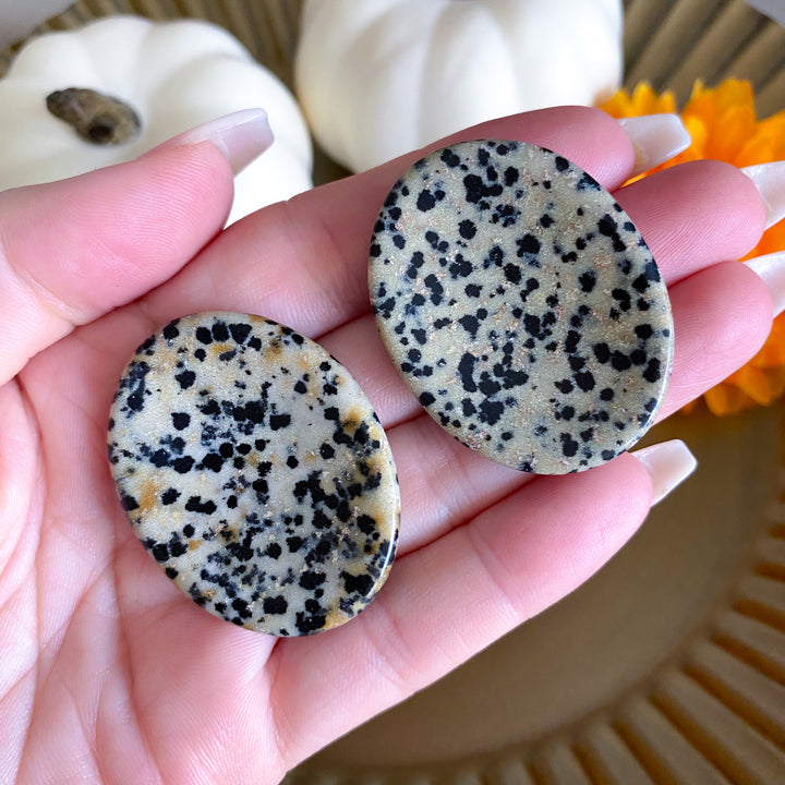 Dalmatian Jasper Worry Stone
