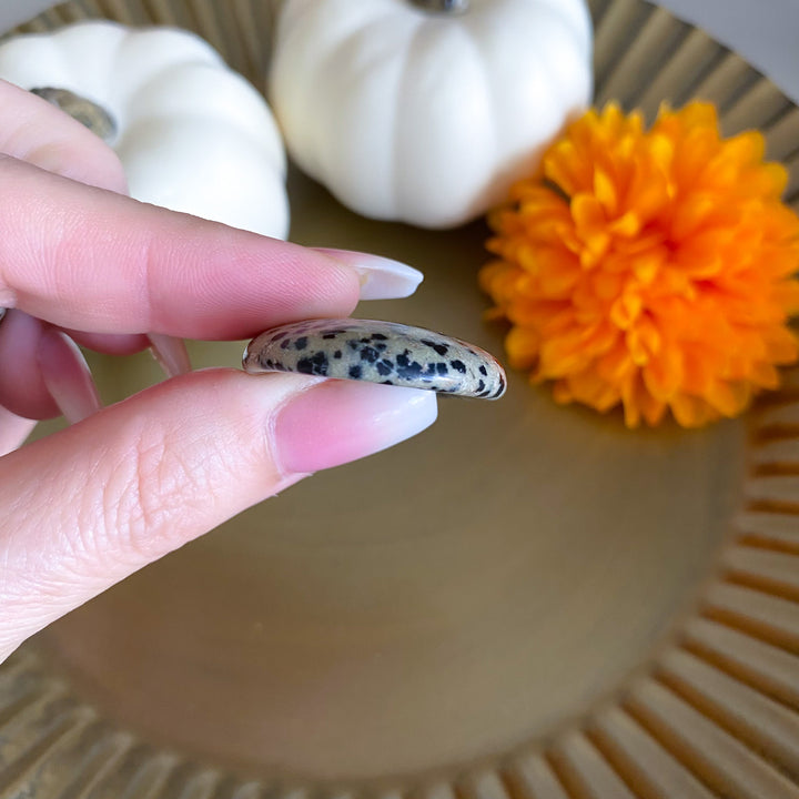 Dalmatian Jasper Worry Stone