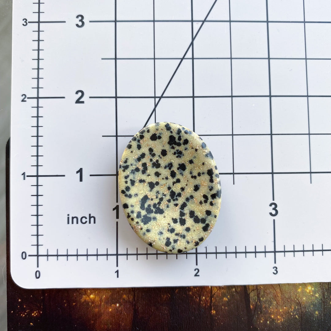 Dalmatian Jasper Worry Stone