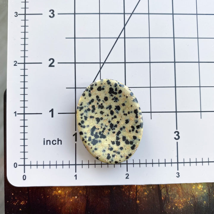 Dalmatian Jasper Worry Stone