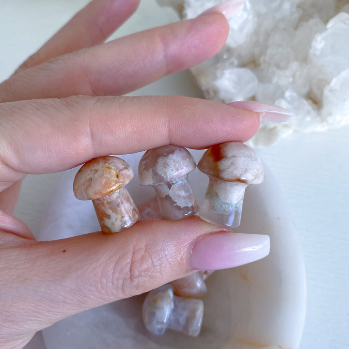 Flower Agate Mini Mushroom