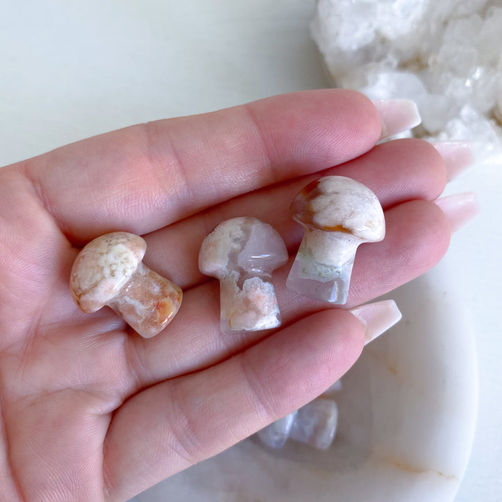Flower Agate Mini Mushroom