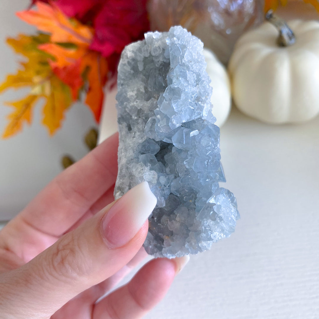 Sparkly Celestite Cluster 