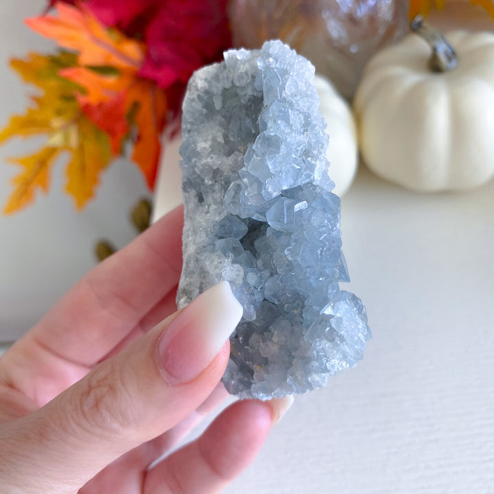 Sparkly Celestite Cluster 