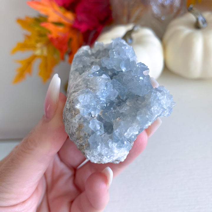 Sparkly Celestite Cluster 