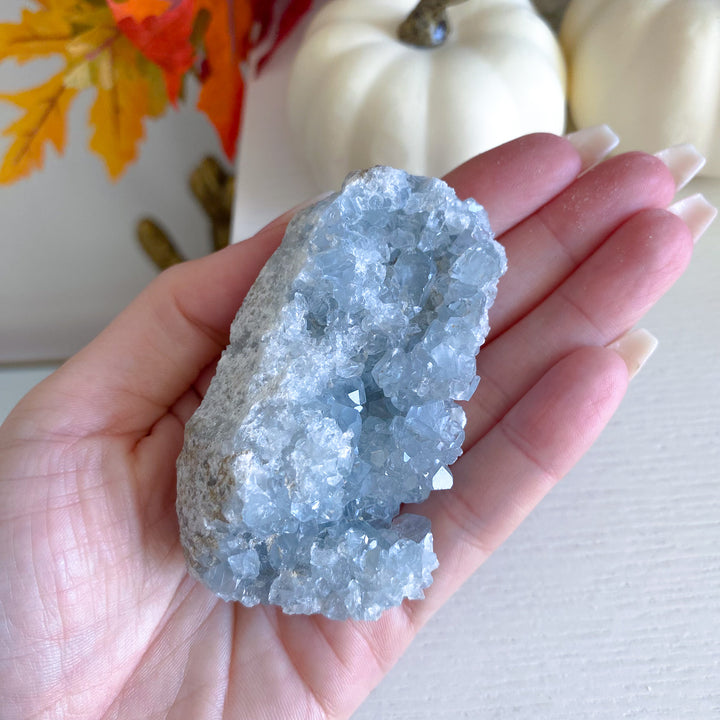 Sparkly Celestite Cluster 