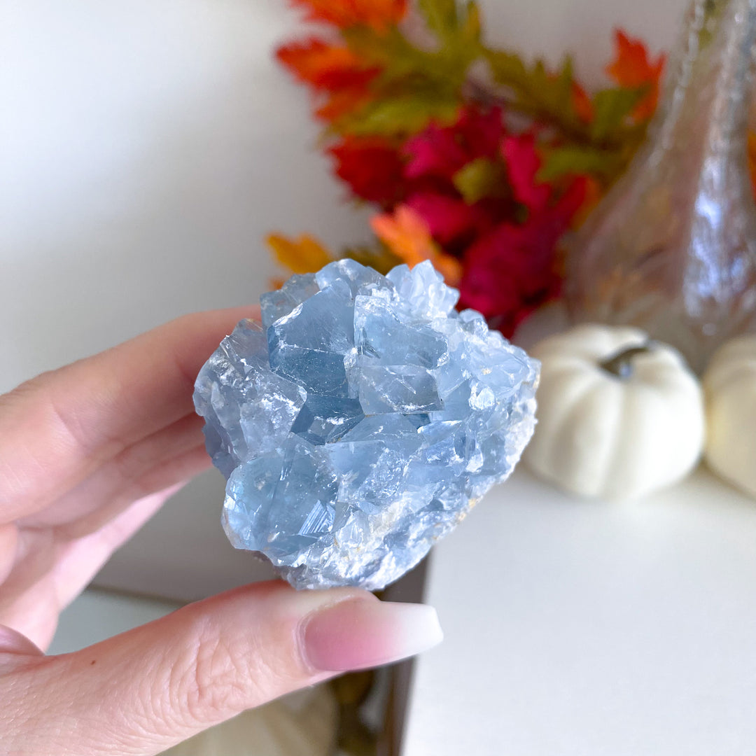 Small Celestite Cluster 
