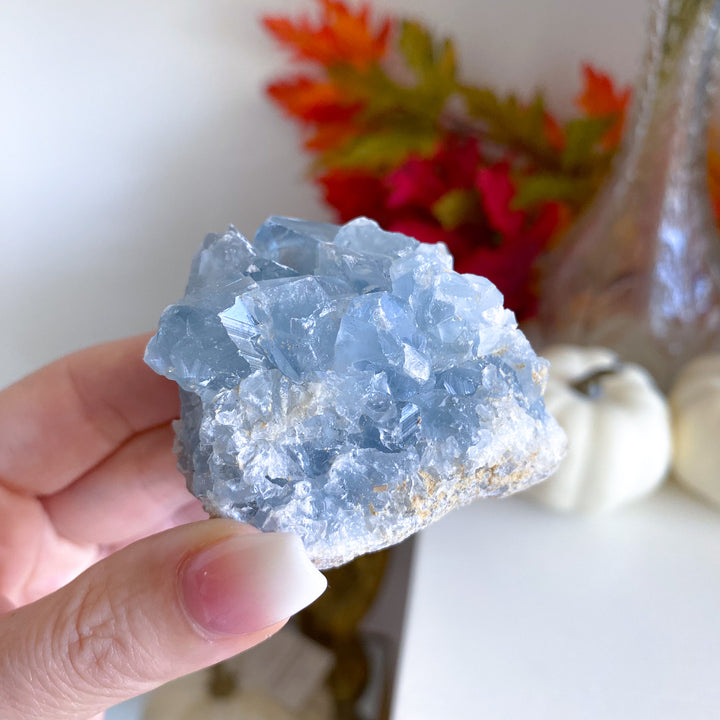 Small Celestite Cluster 