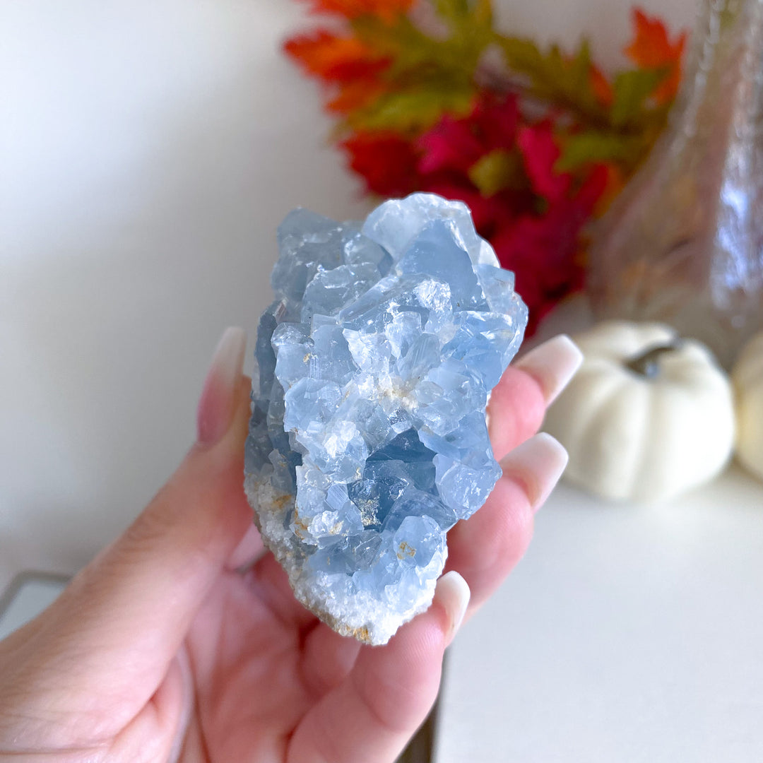 Small Celestite Cluster 