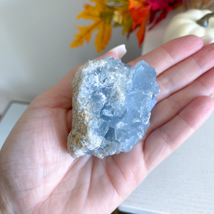 Small Celestite Cluster 