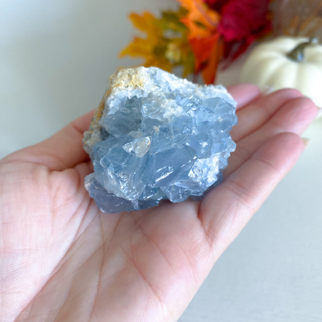 Small Celestite Cluster 