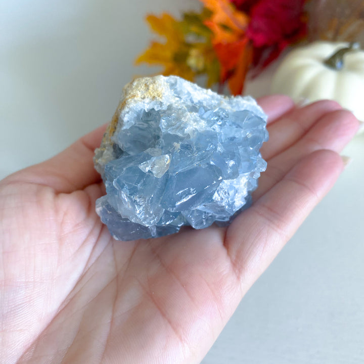 Small Celestite Cluster 