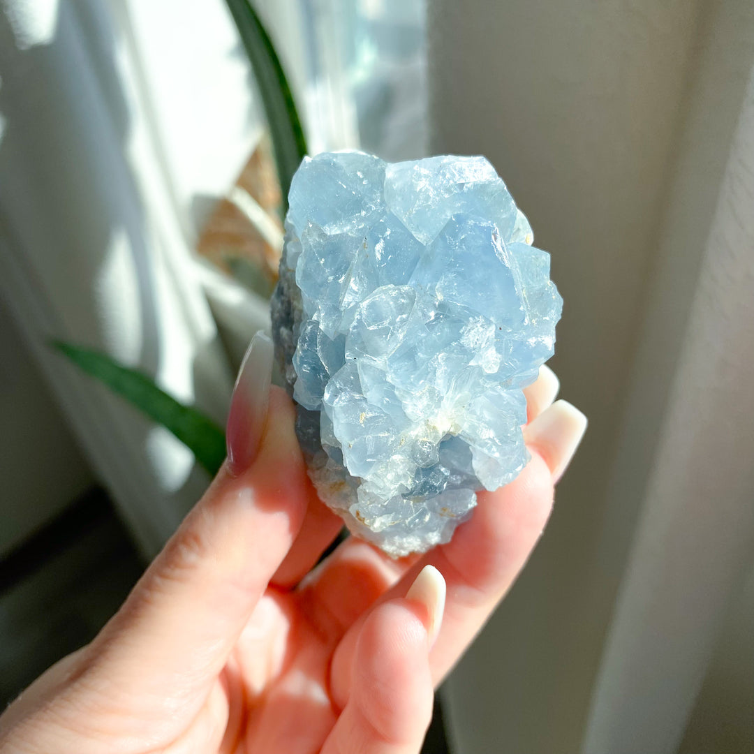 Small Celestite Cluster 