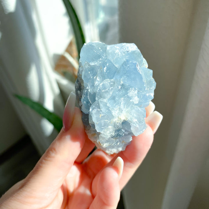Small Celestite Cluster 